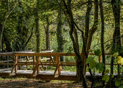 Fotografija 2 - Posjeti NP "Krka" na Praznik rada, preuzmi svoju sadnicu i posadi je za budućnost!