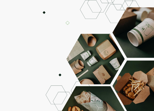 Fotografija 1 - Just Go Eco predstavlja novi web shop s jednokratnom ambalažom: Kvaliteta i inovacija u usluzi ugostiteljstva