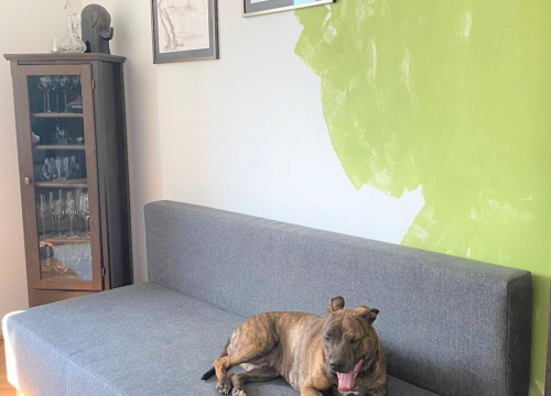 Fotografija 21 - Prodaje se prekrasan kompletno renoviran stan na odličnoj lokaciji s pogledom na more!