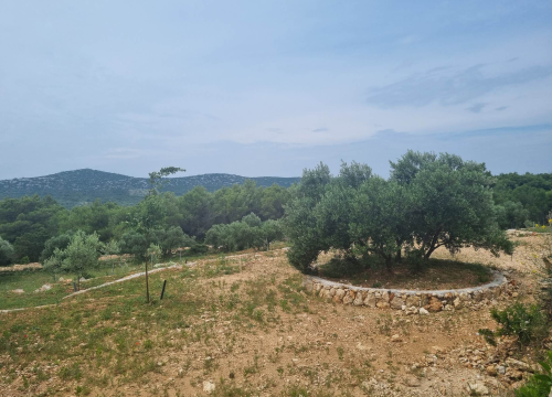 Fotografija 4 - Maslinar Šime Stipaničev: 'Uživamo u prirodi i imamo mali obiteljski hobi u kojem smo se svi pronašli'