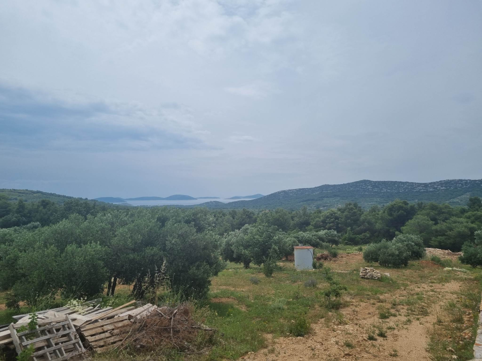 Maslinar Šime Stipaničev: 'Uživamo u prirodi i imamo mali obiteljski hobi u kojem smo se svi pronašli'