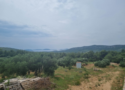 Fotografija 5 - Maslinar Šime Stipaničev: 'Uživamo u prirodi i imamo mali obiteljski hobi u kojem smo se svi pronašli'