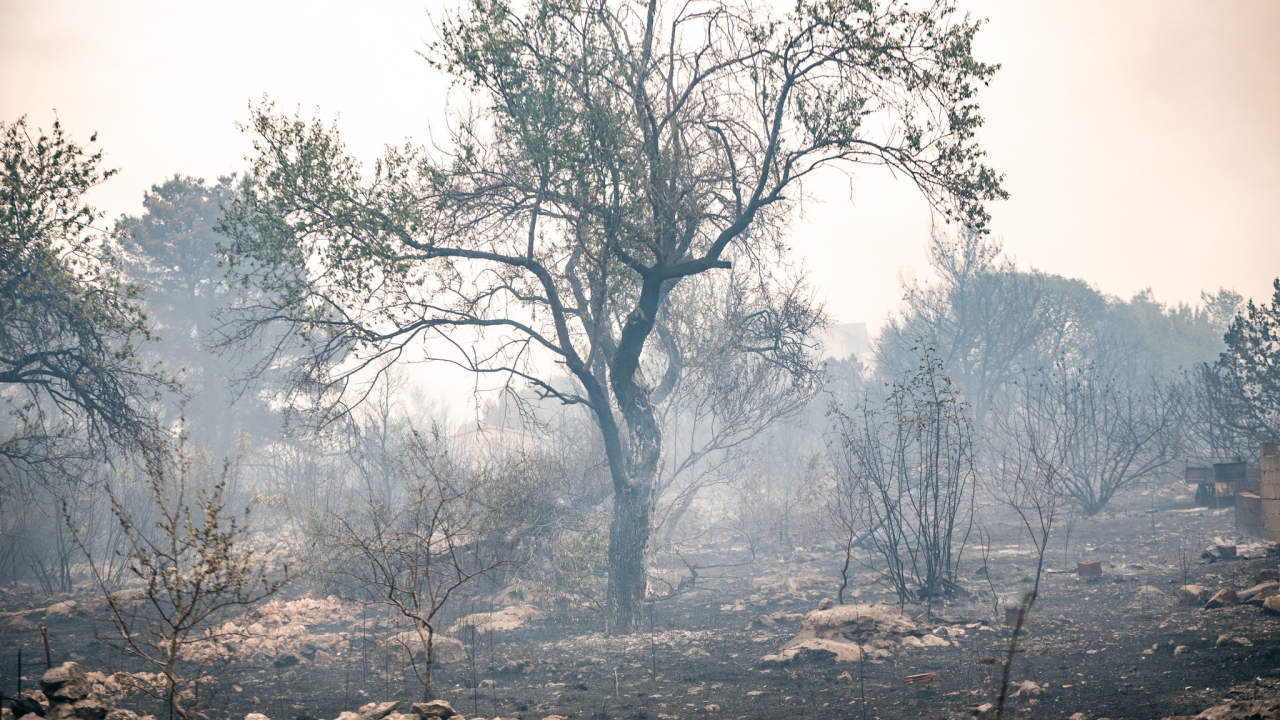 Na požarištu ostaje dežurati 51 vatrogasac