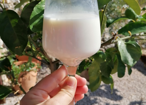 Fotografija 8 - Ivana se bojala buba, a danas u zaleđu Vodica ima ranč koji je u utrci za najbolji u Hrvatskoj