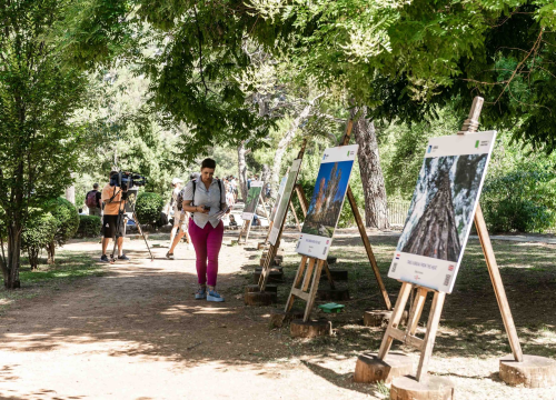 Fotografija 9 - U NP Krka otvorena izložba fotografija: 'Cilj je osvijestiti važnost šuma za smanjenje utjecaja klimatskih promjena'