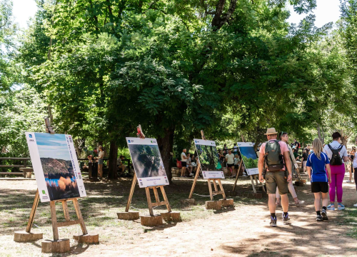 Fotografija 11 - U NP Krka otvorena izložba fotografija: 'Cilj je osvijestiti važnost šuma za smanjenje utjecaja klimatskih promjena'
