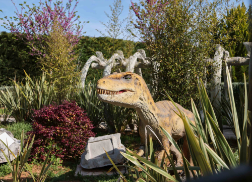 Fotografija 17 - Dalmaland Fun park sprema veliki rođendanski party!