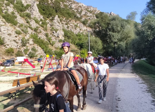 Fotografija 7 - Gracija je kostimografkinja koja se iz Zagreba vratila u Zagoru i danas se bavi uzgojem konja