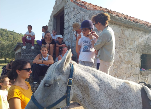 Fotografija 6 - Gracija je kostimografkinja koja se iz Zagreba vratila u Zagoru i danas se bavi uzgojem konja