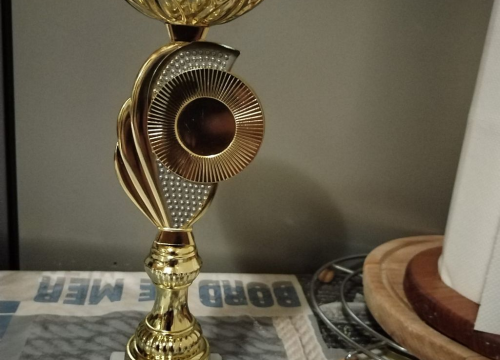 Fotografija 2 - Šibenska stolnotenisačica Anđela Živković brončana na Kupu grada Bjelovara