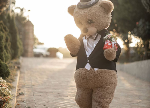 Fotografija 7 - Medo ljubavi stigao je u Šibenik i uljepšat će svako vaše slavlje!