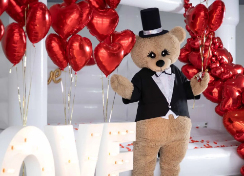 Fotografija 11 - Medo ljubavi stigao je u Šibenik i uljepšat će svako vaše slavlje!