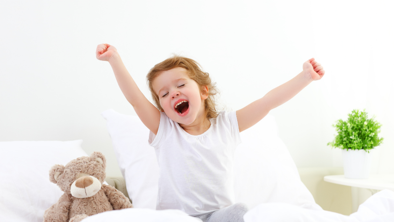 Želite se riješiti ustajalog i lošeg, nekvalitetnog zraka? Okružite se svježim zrakom te pobijedite vlagu i plijesan!