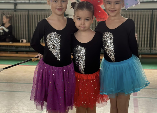 Fotografija 2 - Dvije brončane medalje za šibenske mažoretkinje na Grand Prixu u Donjoj Stubici