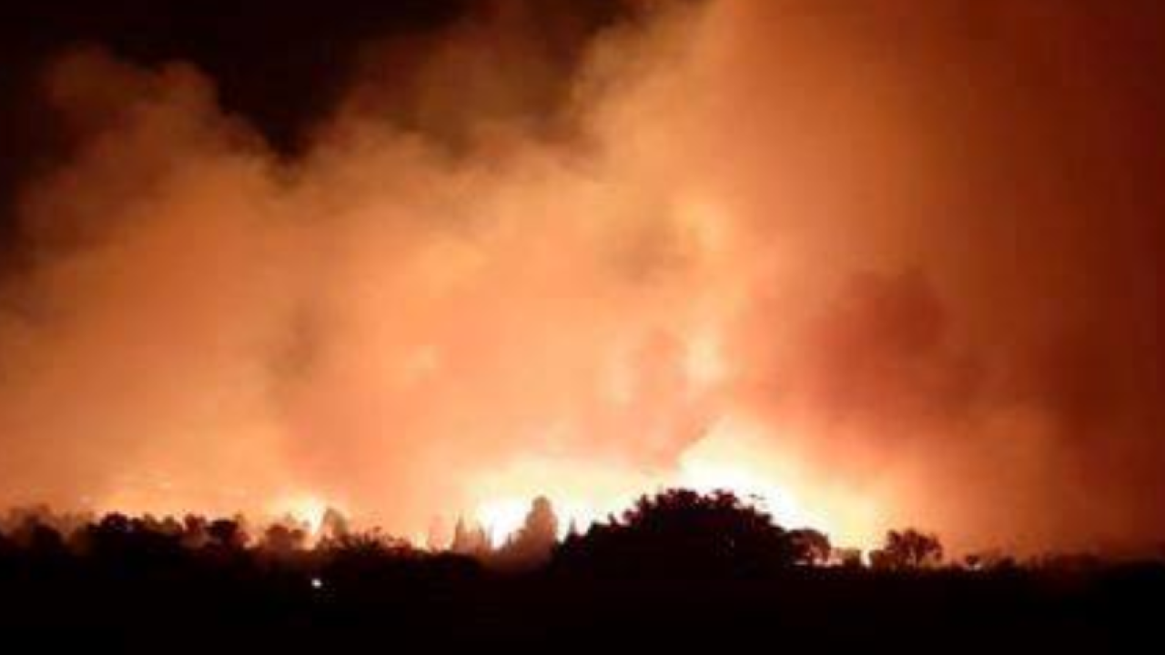 Nakon ogromnih požara u LA-u očekuju kišu: ‘Stvorila se opasna mješavina toksina’