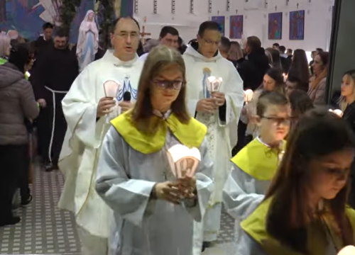 Gospa Lurdska proslavljena na Šubićevcu, Gospin kip nosili novaci s Visovca