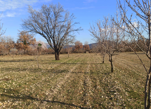 Fotografija 7 - Martin i supruga odlučili su ostati na selu i baviti se poljoprivredom: 'Na OPG-u u Petrovom polju radi cijela obitelj'