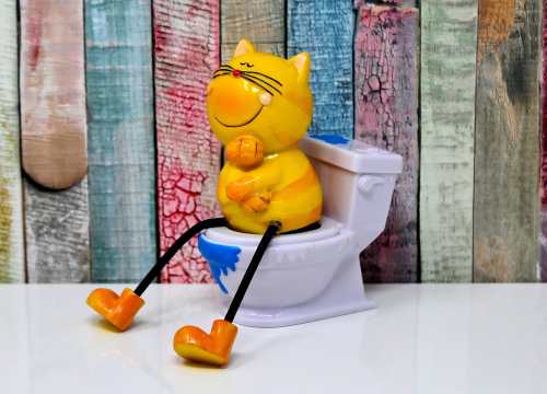 Uvijek spuštajte dasku od WC školjke, ima veze i s novcima