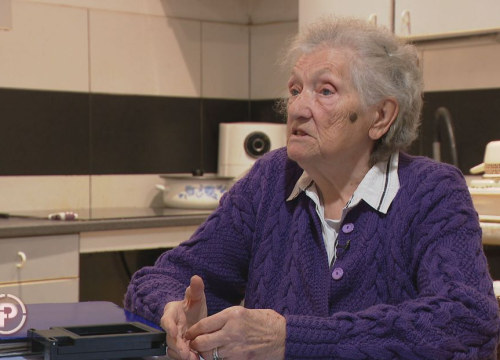 Provjereno u Tisnom: Nevenka htjela prodati teren pa shvatila da je netko povadio masline i samljeo suhozid