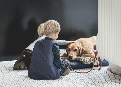 Savjet stručnjakinje: Kako djetetu objasniti smrt kućnog ljubimca?