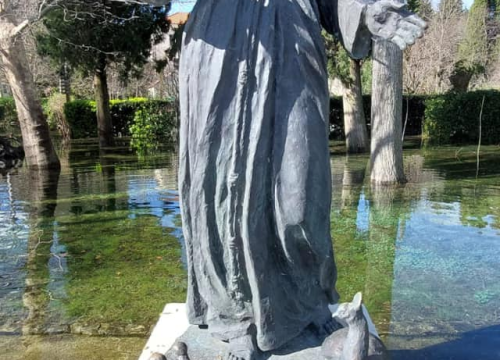 Fotografija 9 - Visok vodostaj Krke poplavio dio Visovca