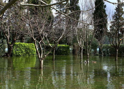 Fotografija 4 - Visok vodostaj Krke poplavio dio Visovca