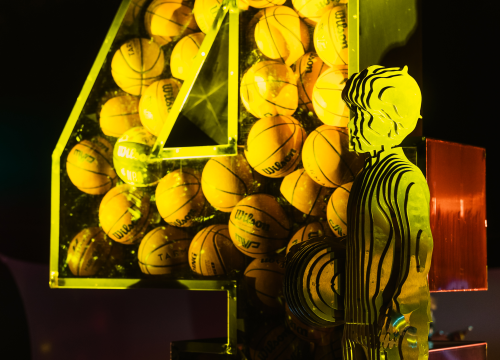 Fotografija 11 -  Rad posvećen Draženu Petroviću predstavljen na Tuškancu