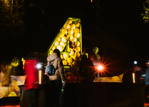 Fotografija 12 -  Rad posvećen Draženu Petroviću predstavljen na Tuškancu