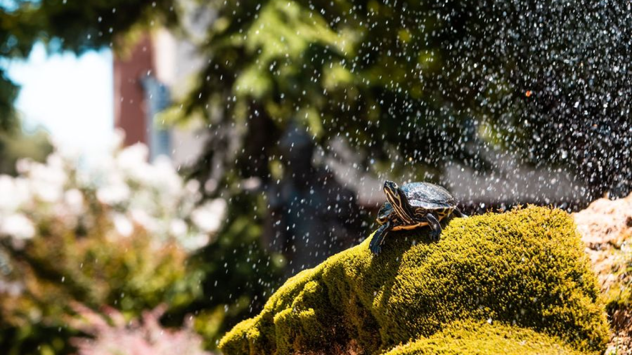 Vakula otkrio kakvo nas vrijeme čeka:' Pripremite se!'