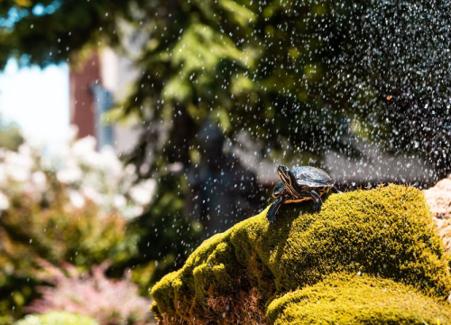 Vakula otkrio kakvo nas vrijeme čeka:' Pripremite se!'