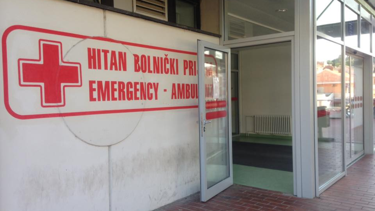 Kninska liječnica upozorava što ne smijete napraviti kad vas zmija ugrize