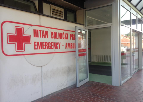 Kninska liječnica upozorava što ne smijete napraviti kad vas zmija ugrize