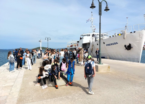 Fotografija 13 - Na Zlarinu otvorena izložba likovnih i literarnih radova s natječaja Mačke