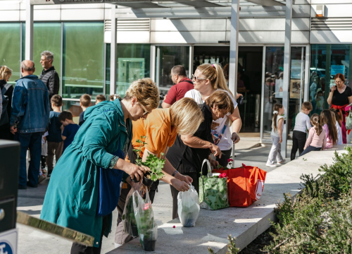 Fotografija 11 - Gužva na Poljani: Šibenčani cvijeće najviše vole kad je besplatno
