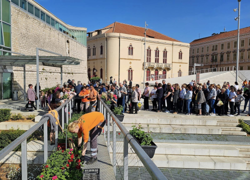 Fotografija 6 - Gužva na Poljani: Šibenčani cvijeće najviše vole kad je besplatno