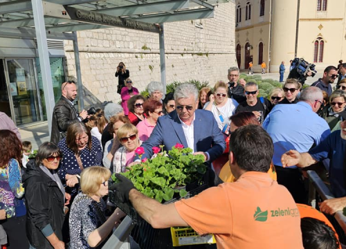 Fotografija 3 - Gužva na Poljani: Šibenčani cvijeće najviše vole kad je besplatno