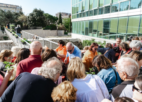 Gužva na Poljani: Šibenčani cvijeće najviše vole kad je besplatno