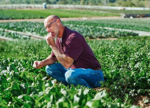 Deset najboljih voća i povrća za dugovječnost