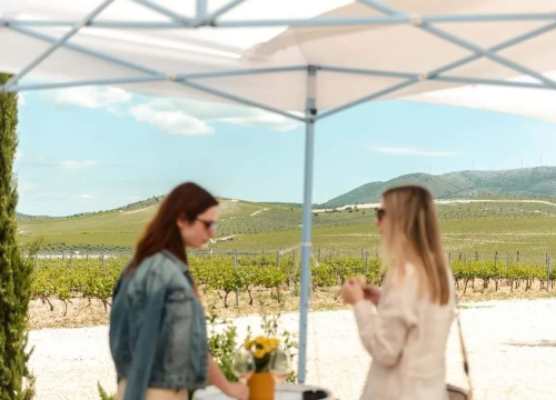 Fotografija 2 - Posjetite lokalne kušaonice vina po čak 50 posto nižim cijenama!