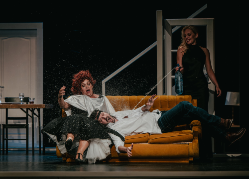 U kazalištu do kraja mjeseca pogledajte dvije komedije, 'Dođi gola na večeru' i 'Privatni život'