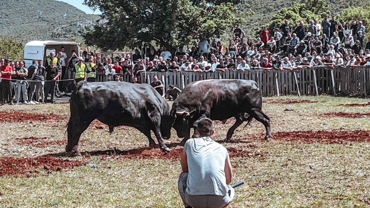 Bili smo na Bikijadi u Nevestu: ‘Željeli smo barem nakratko vratiti život u kraj koji umire’