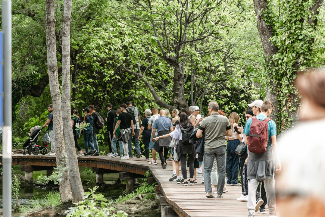 Podijeljeno tisuću sadnica lavande i lovora: 'Želimo očuvati naše ekosustave i poticati bioraznolikost'