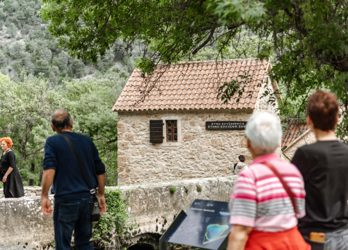Fotografija 5 - Podijeljeno tisuću sadnica lavande i lovora: 'Želimo očuvati naše ekosustave i poticati bioraznolikost'