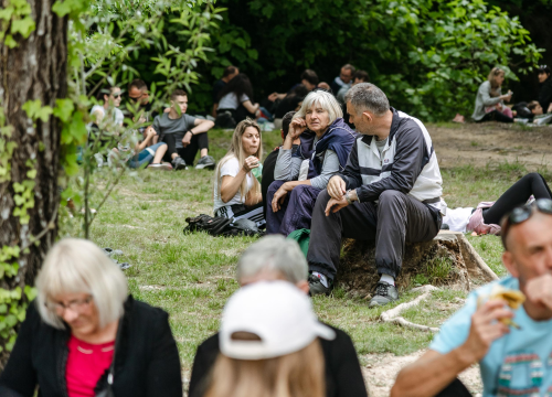 Fotografija 12 - Podijeljeno tisuću sadnica lavande i lovora: 'Želimo očuvati naše ekosustave i poticati bioraznolikost'