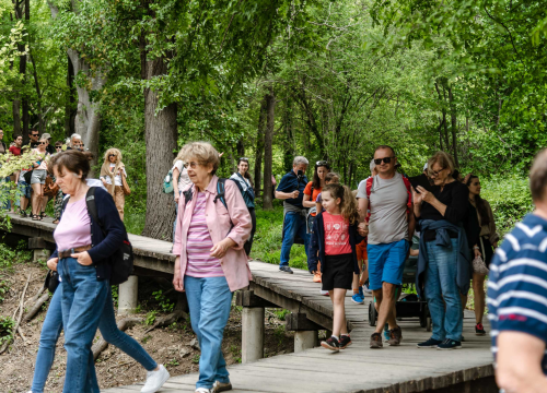 Fotografija 13 - Podijeljeno tisuću sadnica lavande i lovora: 'Želimo očuvati naše ekosustave i poticati bioraznolikost'