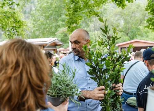 Fotografija 32 - Podijeljeno tisuću sadnica lavande i lovora: 'Želimo očuvati naše ekosustave i poticati bioraznolikost'
