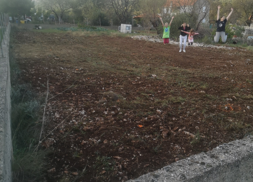 Fotografija 13 - Jure Rončević zajedno s obitelji bavi se uzgojem badema: ‘Nismo htjeli zapustiti djedovinu’