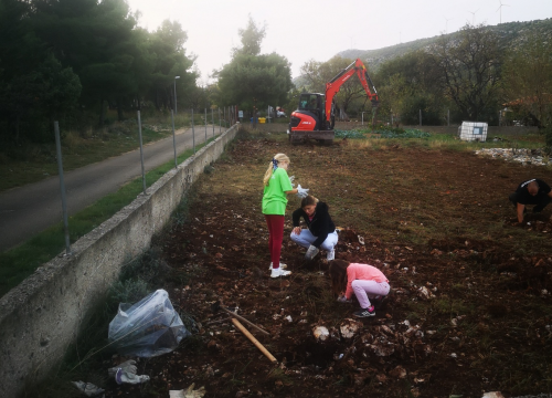 Fotografija 14 - Jure Rončević zajedno s obitelji bavi se uzgojem badema: ‘Nismo htjeli zapustiti djedovinu’