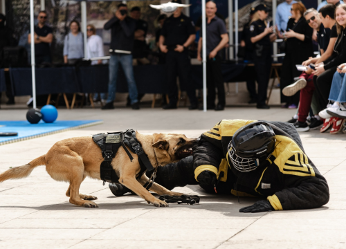 Fotografija 13 - Policajci 'zauzeli' trg ispred Županije kako bi prezentirali svoje zanimanje