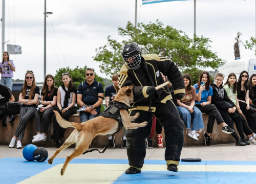 Fotografija 9 - Policajci 'zauzeli' trg ispred Županije kako bi prezentirali svoje zanimanje